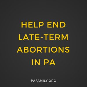 End Late-Term Abortions