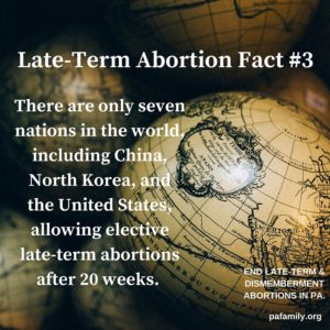 Late Term Fact #3