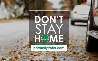 Don’t Stay Home – State Senators and Representatives are the People’s Voice