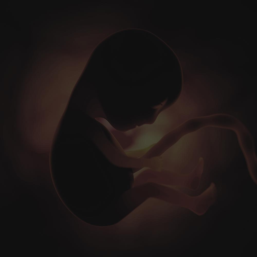 issue-life-abortion Unborn human life at risk of abortion in pennsylvania.