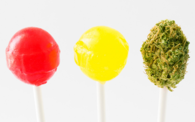 Ballot Question on Marijuana Attempts to Hide Full Harmful Impact