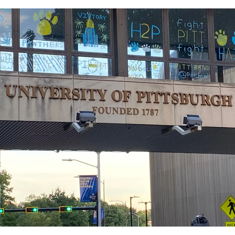 Failures Examined In Pitt s Independent Review Of Experiments On