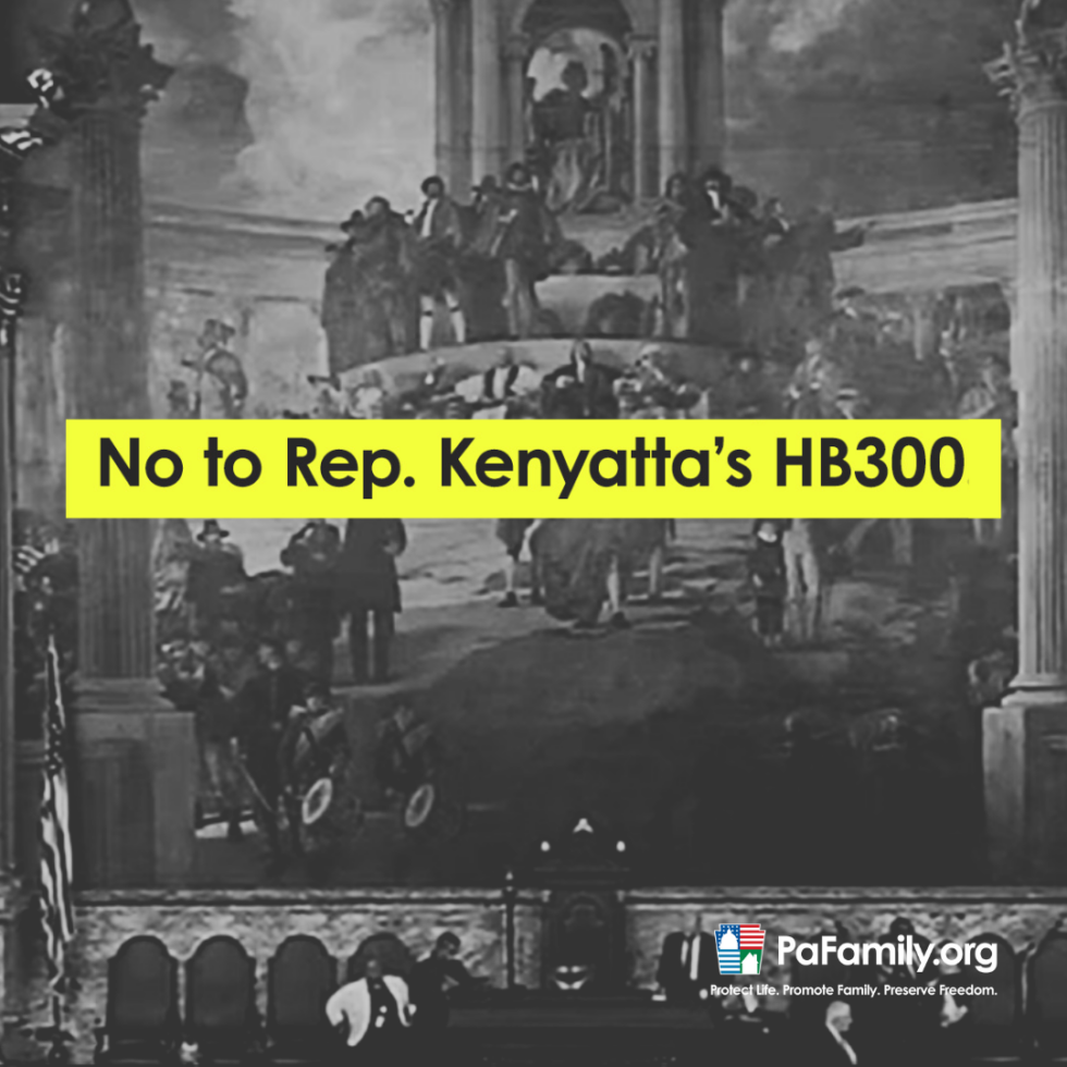 VIDEO Revealing Floor Debate (Or Lack Thereof) on the Harms of House