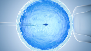 I am deeply concerned about IVF. 96% of biologists (the vast majority of those who were polled are nonreligious and Democrat) agree that life begins from the moment of conception. At this point, it is settled science.