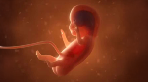 PA Women Harmed By Abortion Complications Doubled in Three Years: PA State Report