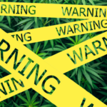 Commercializing marijuana sales