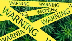 Commercializing marijuana sales