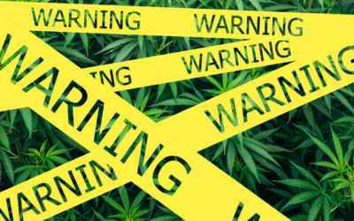 Legalizing Harm: Why Pennsylvania Must Reject Shapiro’s Marijuana Push