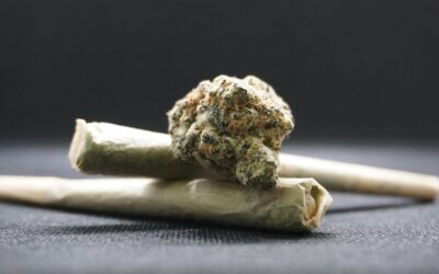 Legalization Isn’t the Answer: Why Pennsylvania Should Reject the False Promises of Recreational Marijuana