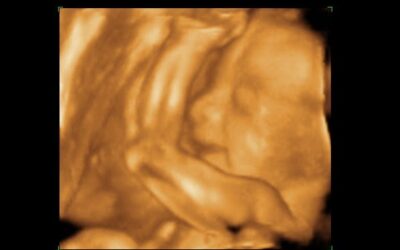Why Pennsylvania Needs Early Human Development Education