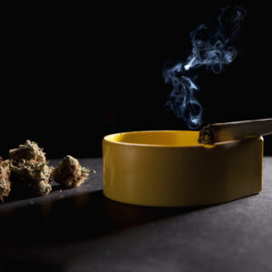 The “Big Weed” machine — national and state lobbying groups representing so-called “medical” marijuana companies — made an aggressive push for Senate Bill 49, a bill that would quietly hand sweeping authority over marijuana regulation in Pennsylvania to a new, unelected seven-member board.