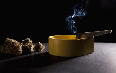 Big Weed’s Trojan Horse: The Push Behind Pennsylvania’s Senate Bill 49