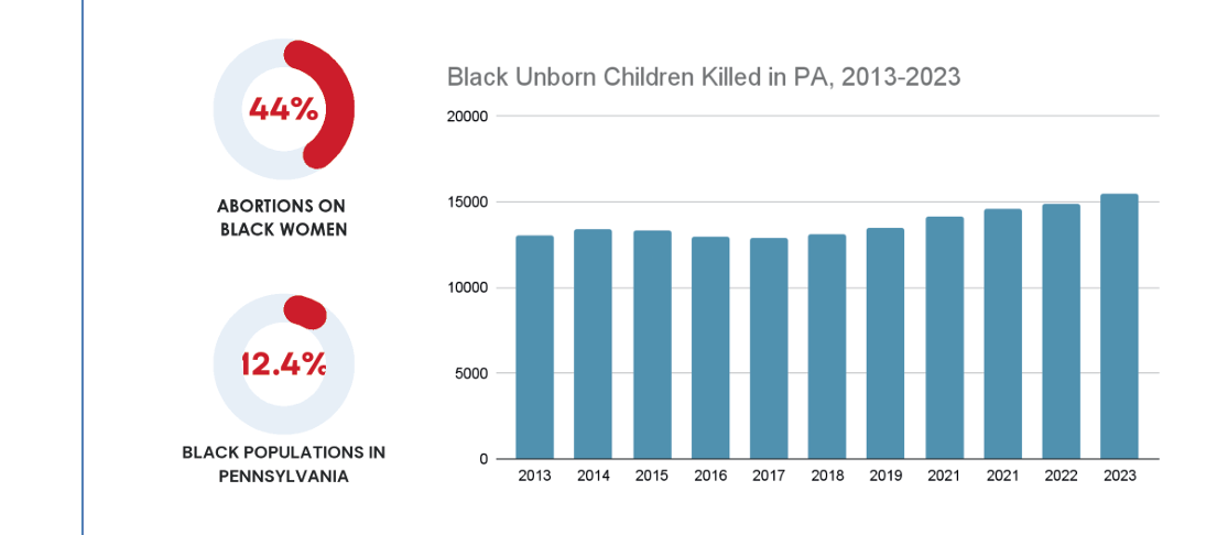 Black unborn children killed in PA, 2013-2023