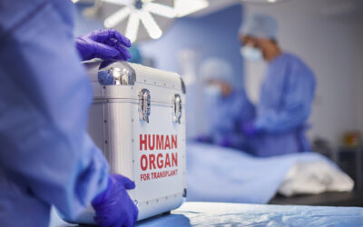 No, Pregnancy Isn’t Like Organ Donation: How to Respond