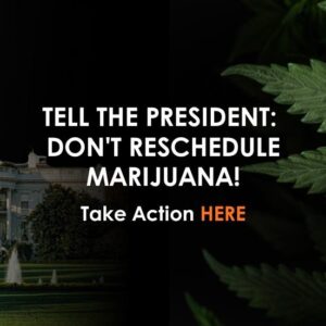 Tell Trump: Protect Families, Keep Marijuana Schedule I