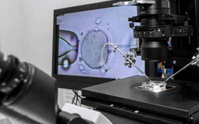 New IVF Wild West Bill Would Help Multi-Billion Dollar Industry Over Families